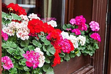 类《节奏天国》新作《褪黑素》年内登陆PC和NS